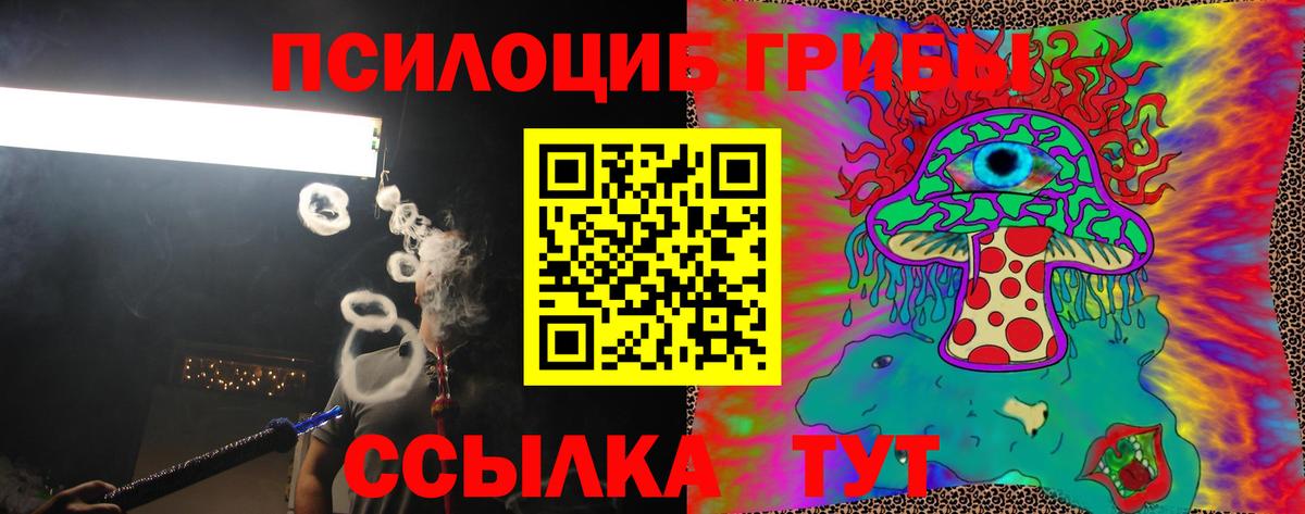 Галлюциногенные грибы MAGIC MUSHROOMS Кольчугино
